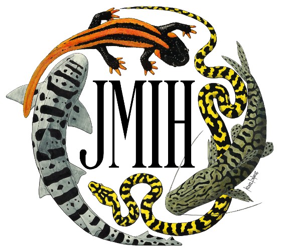JMIH Logo
