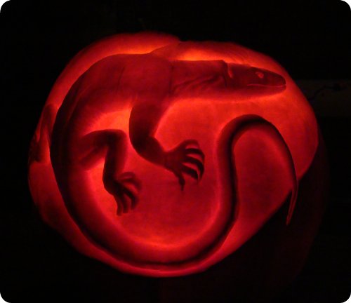 Monitor lizard pumpkin